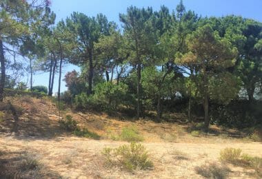 Portugalia, Comporta / Alentejo Coast, Troia