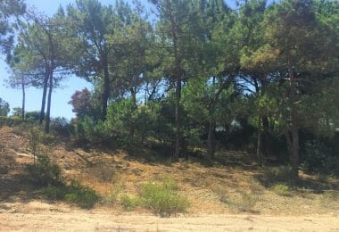 Portugalia, Comporta / Alentejo Coast, Troia