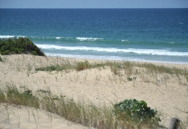 Portugalia, Comporta / Alentejo Coast, Comporta