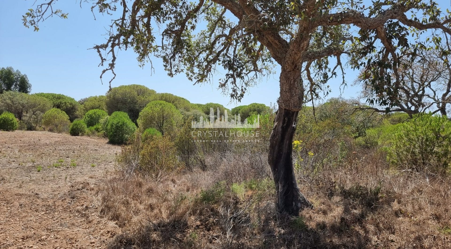 Portugalia, Comporta / Alentejo Coast, Melides