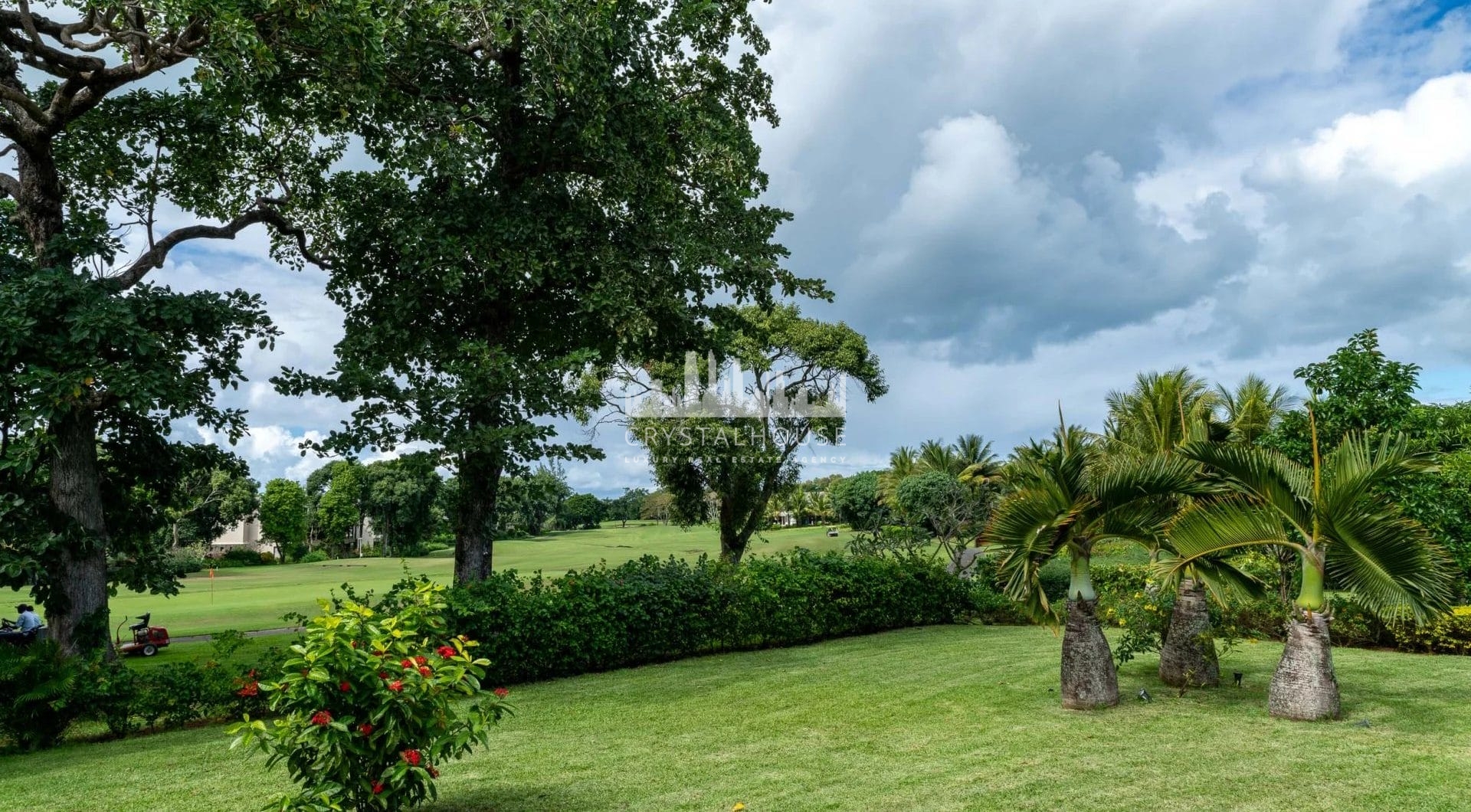 Mauritius, Beau Champ