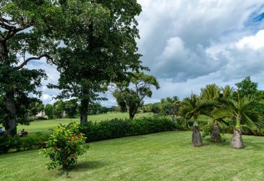 Mauritius, Beau Champ