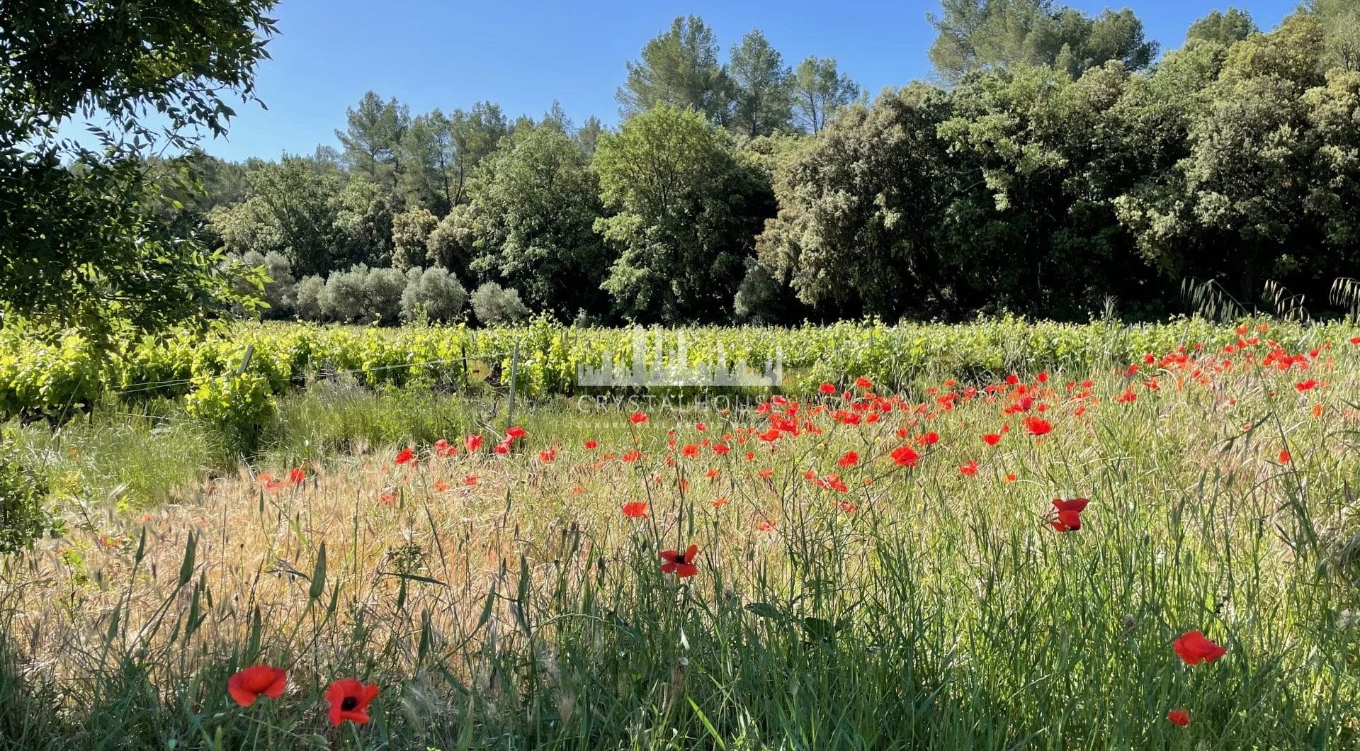 Francja, Cotignac