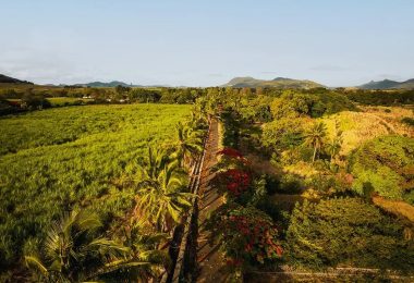 Mauritius, Beau Champ