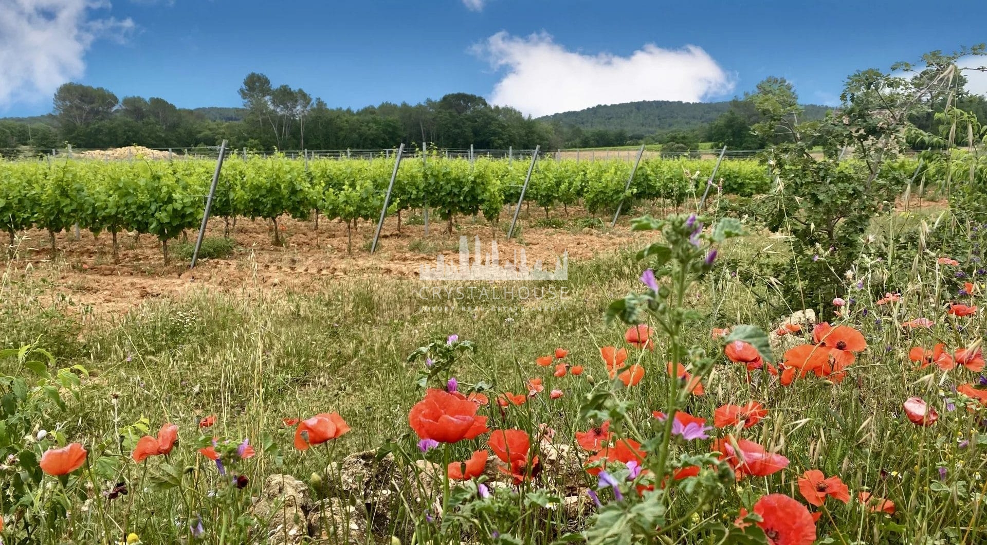 Francja, La Motte