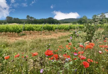 Francja, La Motte