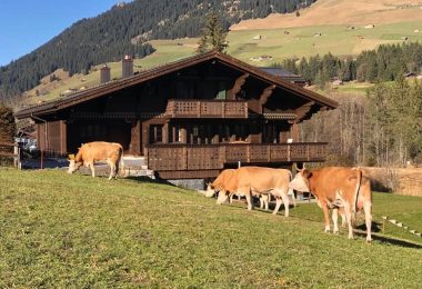 Szwajcaria, Lauenen bei Gstaad