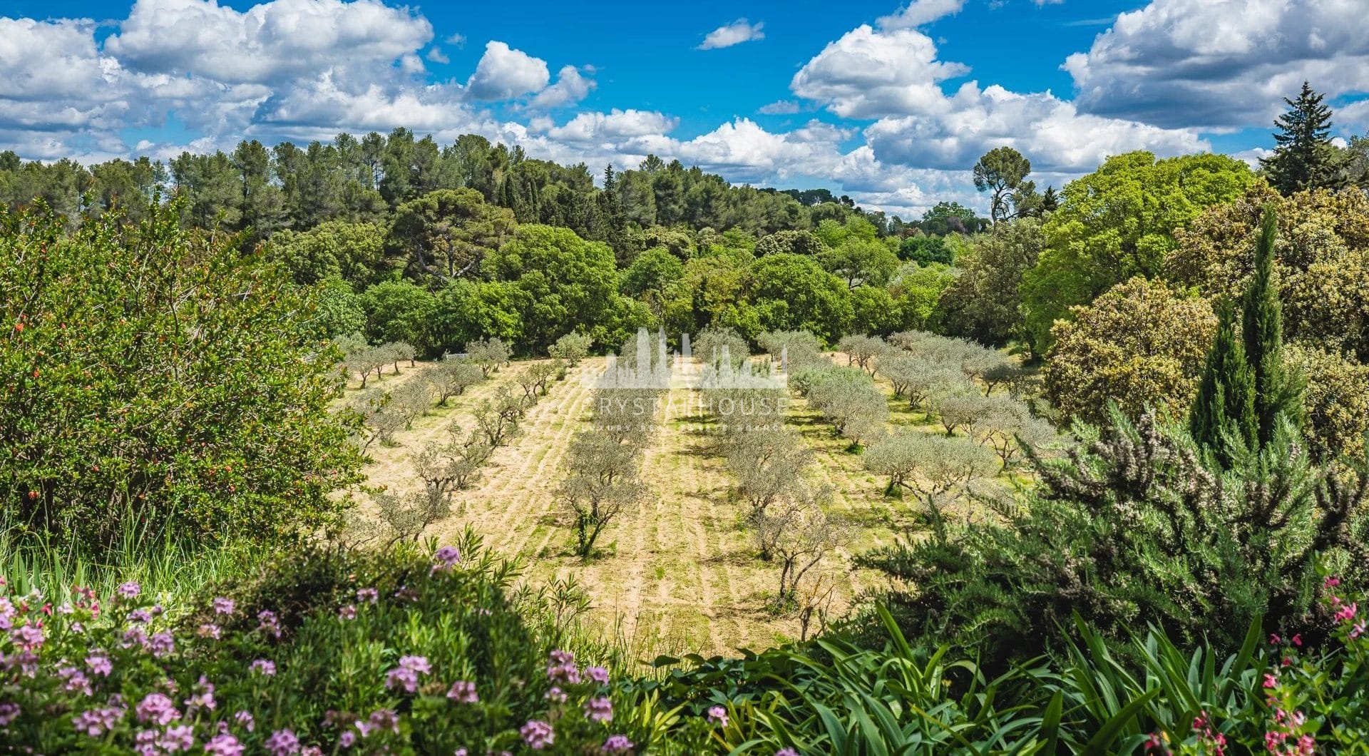 Francja, Saint-Rémy-de-Provence