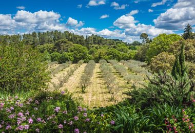 Francja, Saint-Rémy-de-Provence