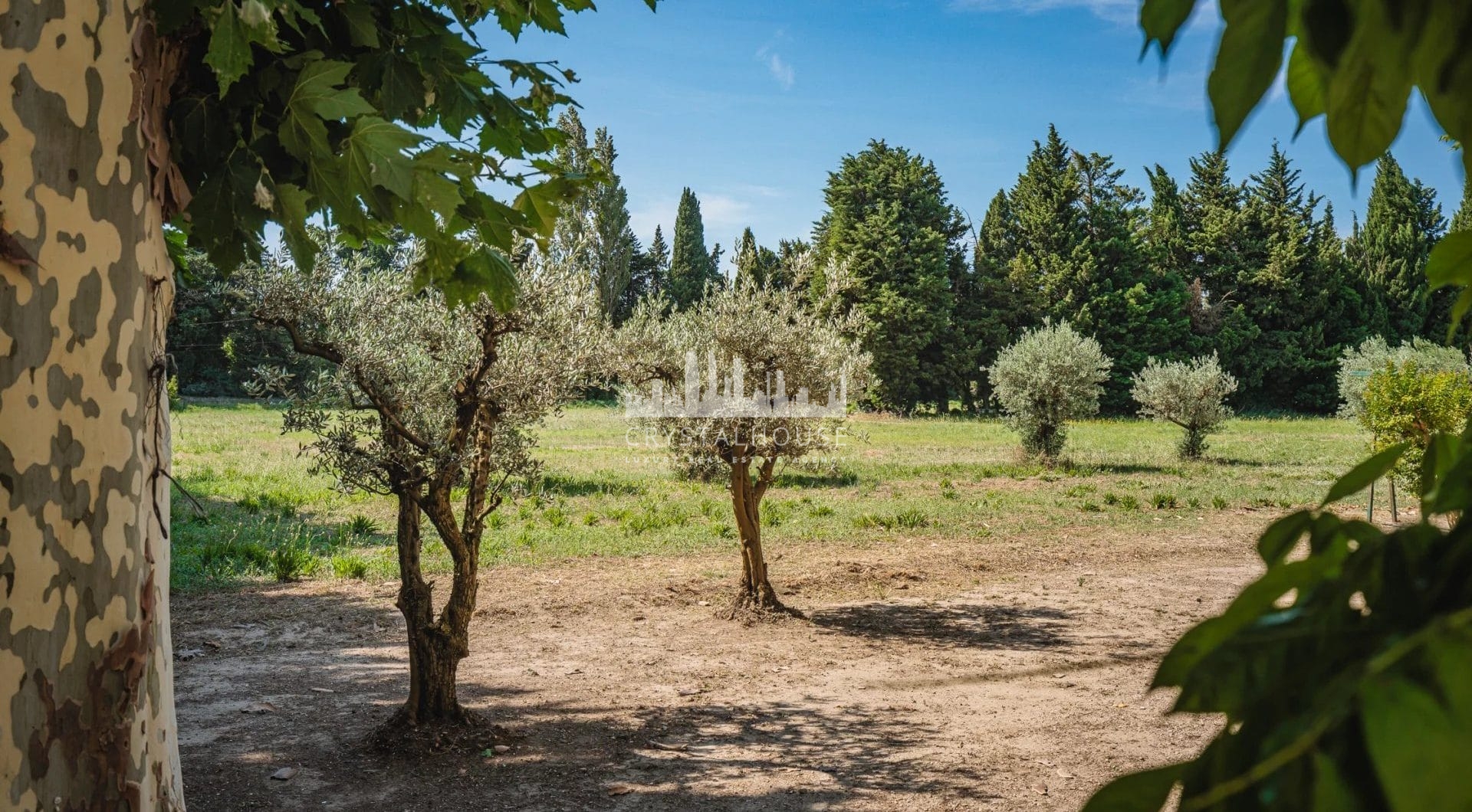 Francja, Saint-Rémy-de-Provence