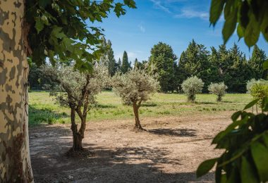 Francja, Saint-Rémy-de-Provence