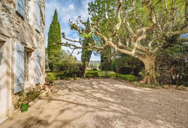 Francja, Saint-Rémy-de-Provence