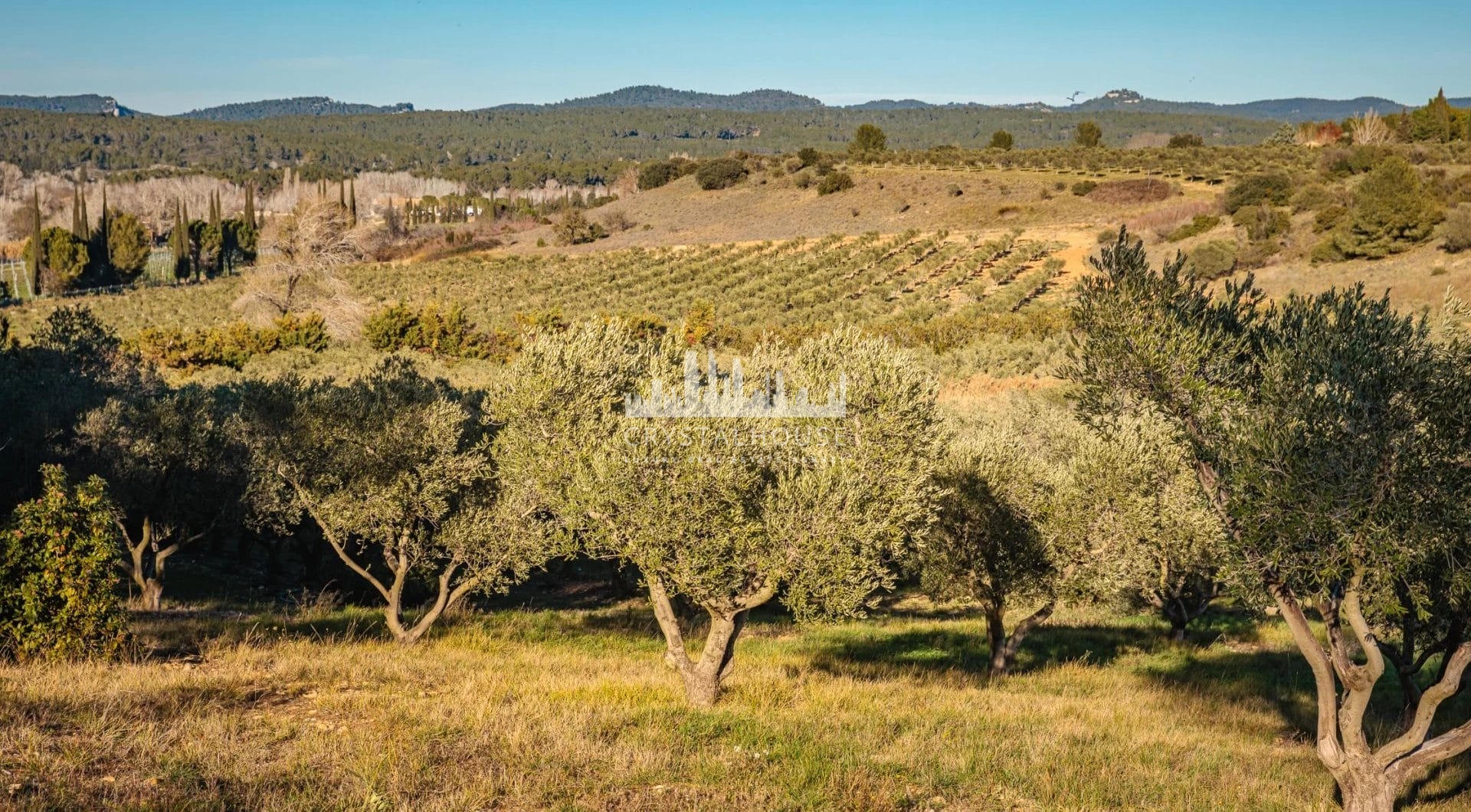 Francja, Saint-Rémy-de-Provence