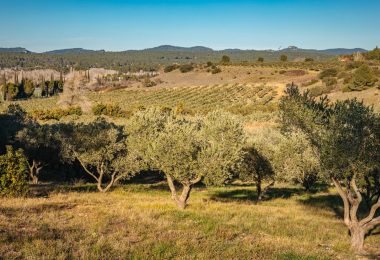 Francja, Saint-Rémy-de-Provence