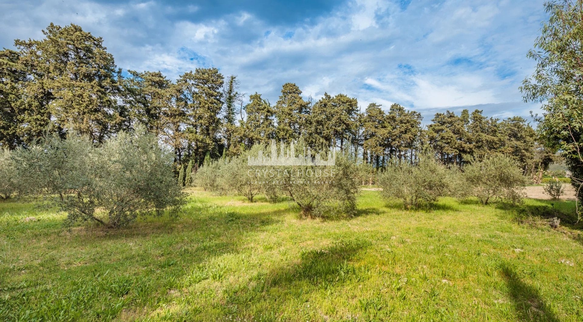 Francja, Saint-Rémy-de-Provence