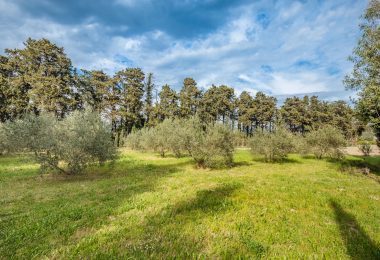 Francja, Saint-Rémy-de-Provence