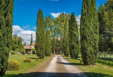 Francja, Avignon, Barthelasse-Piot