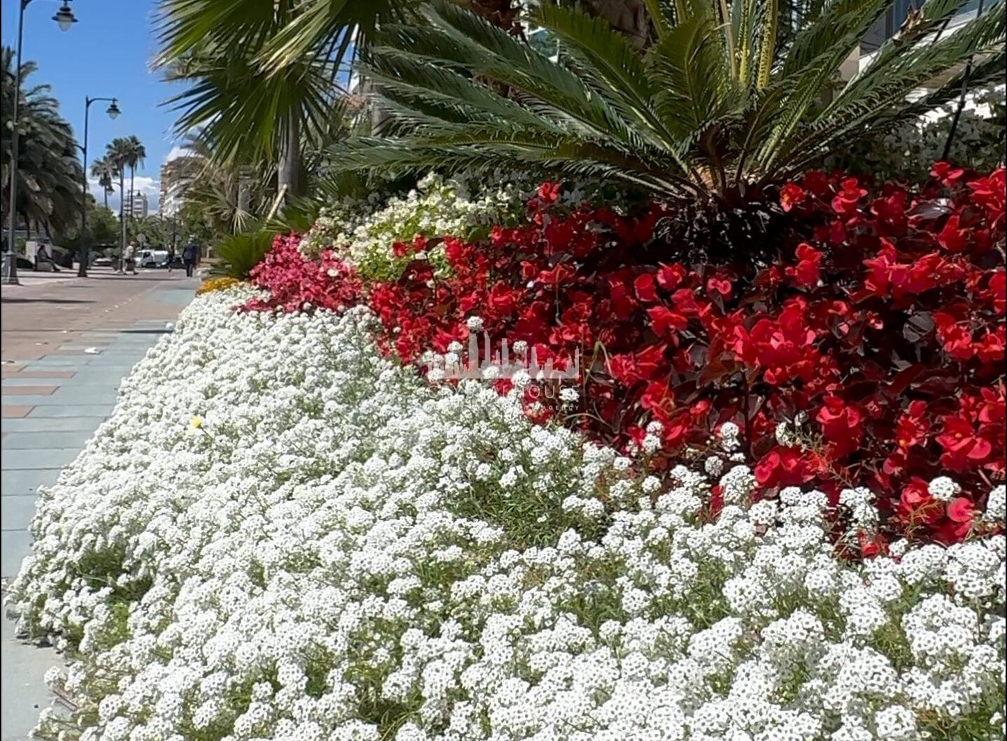 Hiszpania, Estepona, Estepona Town