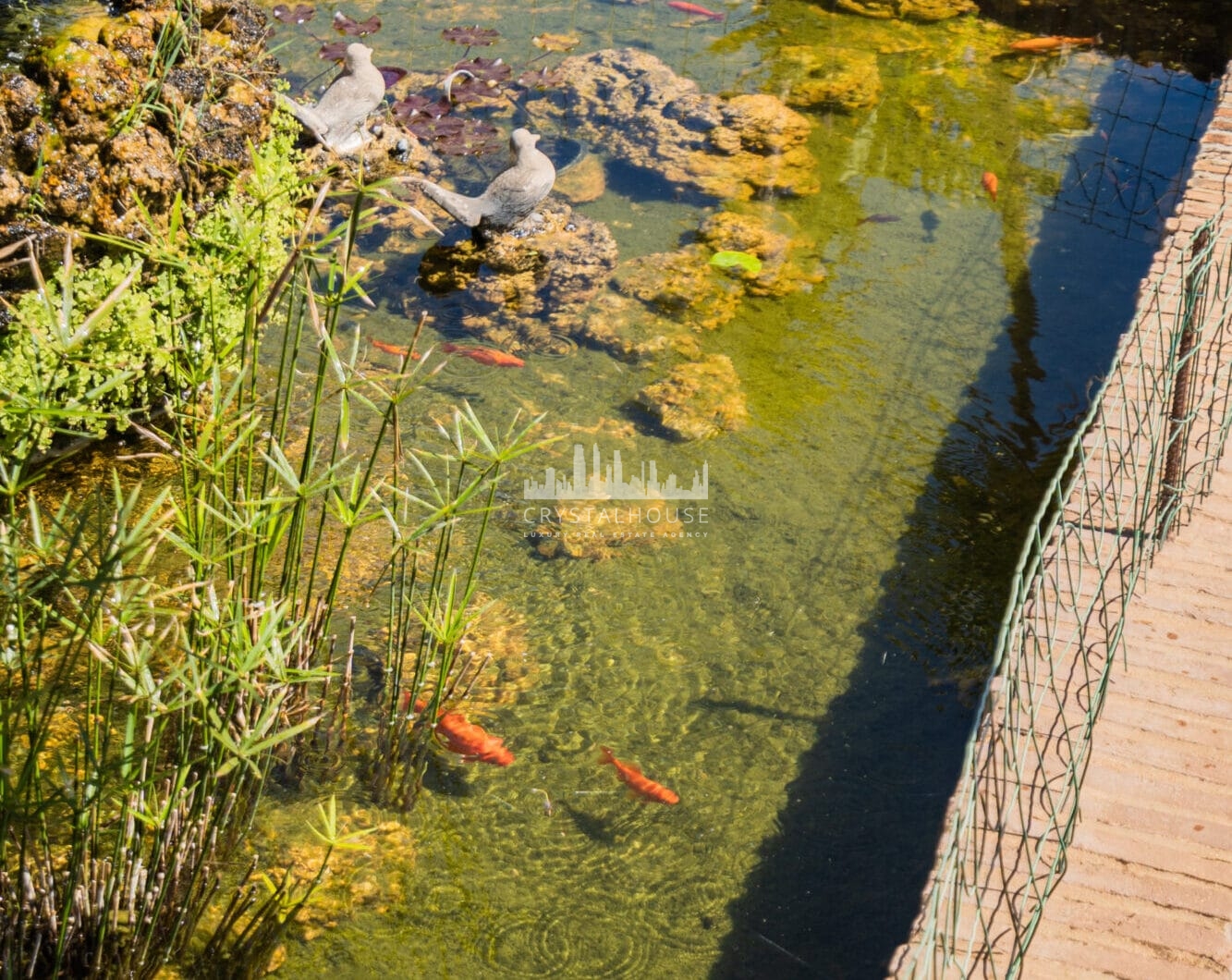 Hiszpania, Marbella, Nueva Andalucia