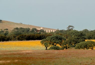 Portugalia, Comporta / Alentejo Coast, Porto Covo