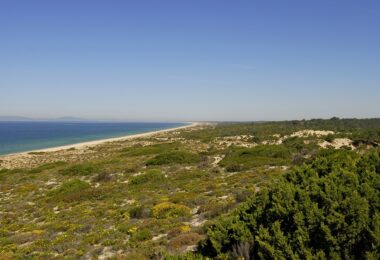 Portugalia, Comporta / Alentejo Coast, Comporta