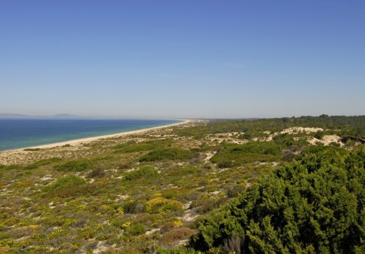 Portugalia, Comporta / Alentejo Coast, Comporta