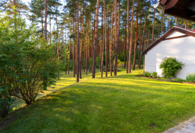 Villa nad jeziorem Pluszne - Rezydencje Warmińskie