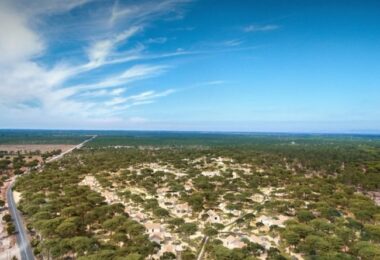 Portugalia, Comporta / Alentejo Coast, Bicas