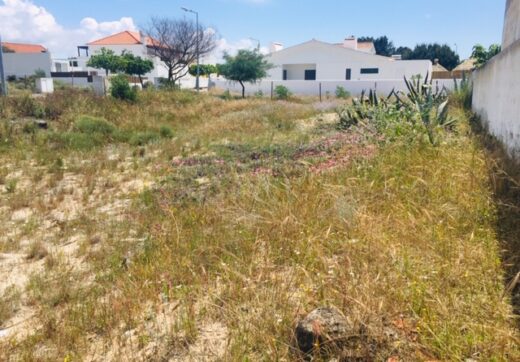 Portugalia, Comporta / Alentejo Coast, Possanco