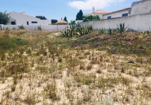 Portugalia, Comporta / Alentejo Coast, Possanco