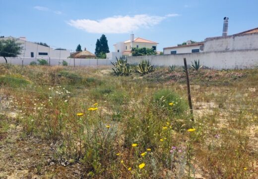 Portugalia, Comporta / Alentejo Coast, Possanco