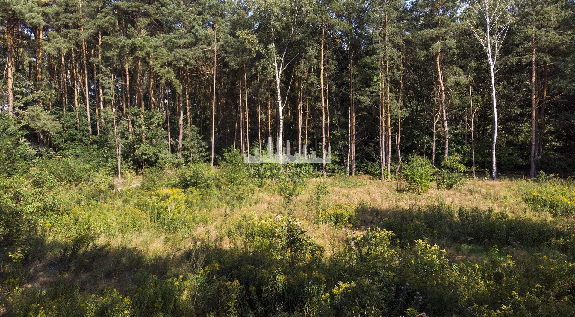 Działka budowlana z lasem POZWOLENIE NA BUDOWĘ