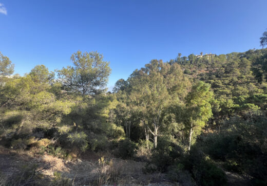 Hiszpania, Benahavis, El Madroñal