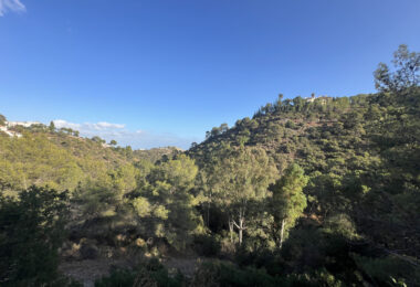 Hiszpania, Benahavis, El Madroñal