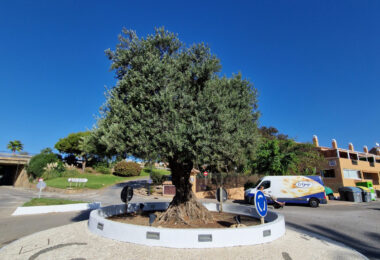 Hiszpania, Casares, Marina de Casares