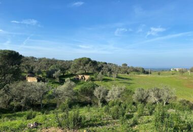 Portugalia, Comporta / Alentejo Coast, Melides