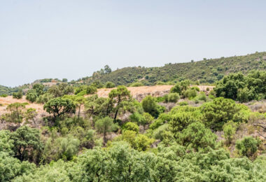 Hiszpania, Estepona, Altos de Estepona