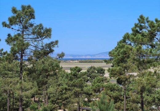 Portugalia, Comporta / Alentejo Coast, Carvalhal