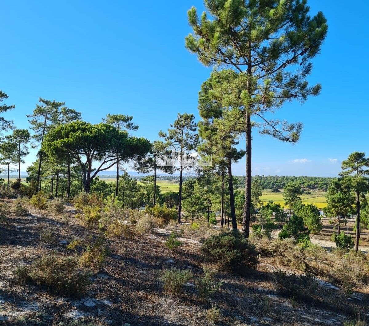 Portugalia, Comporta / Alentejo Coast, Carvalhal