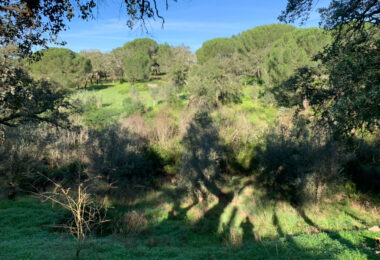 Portugalia, Comporta / Alentejo Coast, Melides