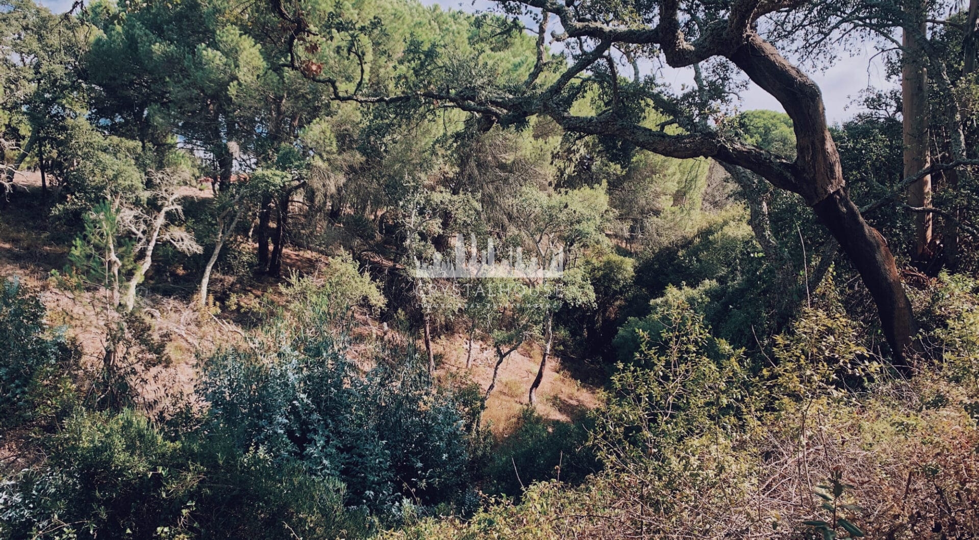 Portugalia, Comporta / Alentejo Coast, Melides