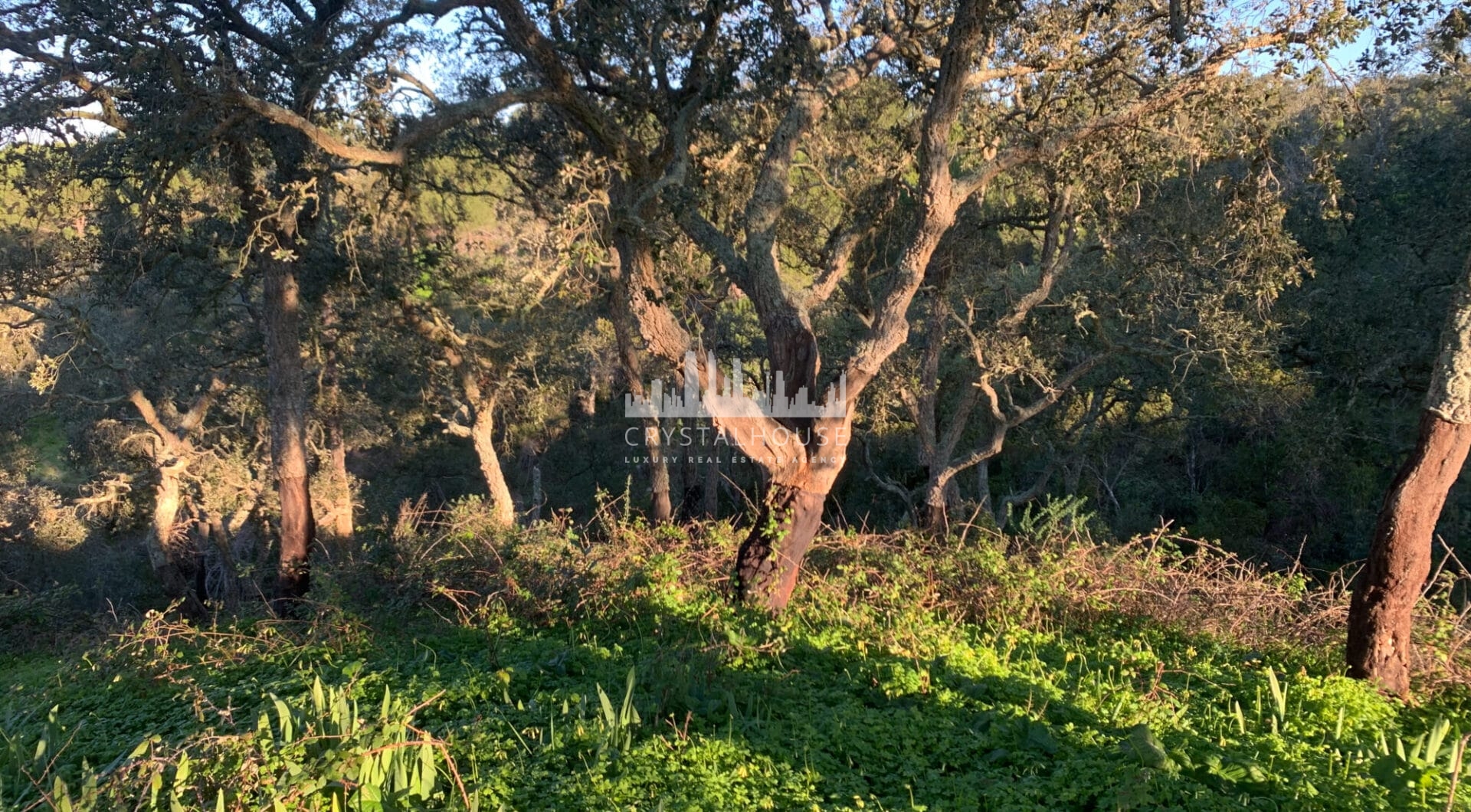 Portugalia, Comporta / Alentejo Coast, Melides