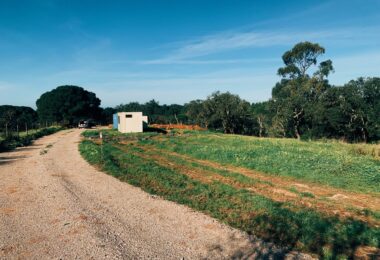 Portugalia, Comporta / Alentejo Coast, Melides