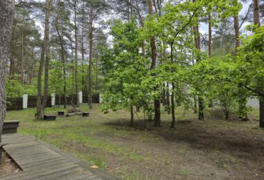 Urokliwy dom z ogrodem wśród sosen | Wawer