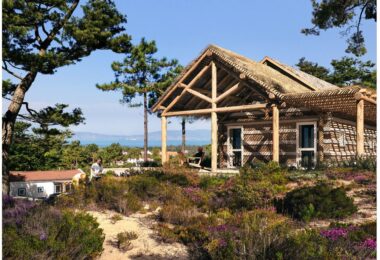 Portugalia, Comporta / Alentejo Coast, Pego