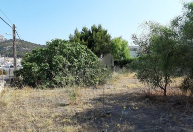 Hiszpania, Port d'Andratx