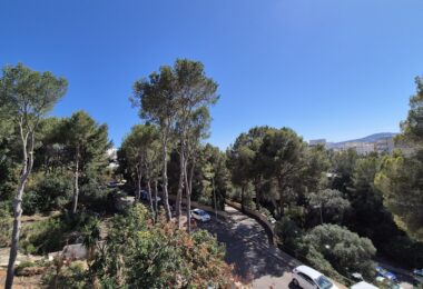 Hiszpania, Portals Nous