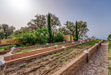 Zachwycająca willa z 7 sypialniami, panoramicznym widokiem na morze, prywatnym basenem i rozległą, 5-hektarową posiadłością w La Mairena