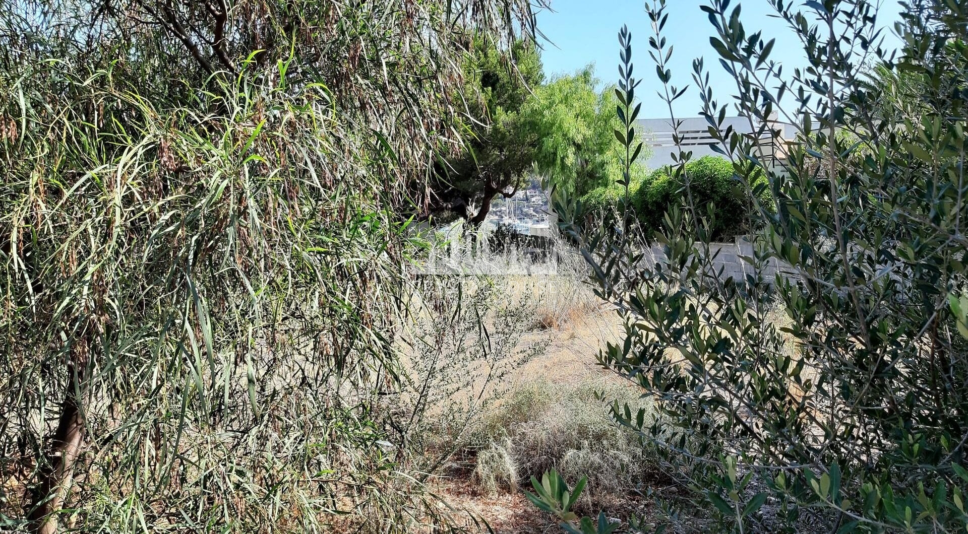 Hiszpania, Port d'Andratx