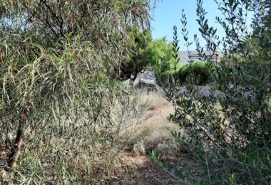 Hiszpania, Port d'Andratx